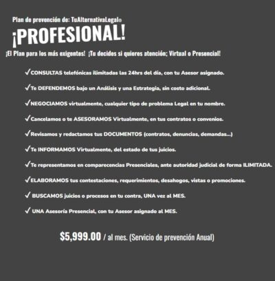 Plan de prevención PROFESIONAL